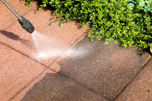 Best Pressure Washing Near Me  in Ocean Bluff Brant Rock, MA